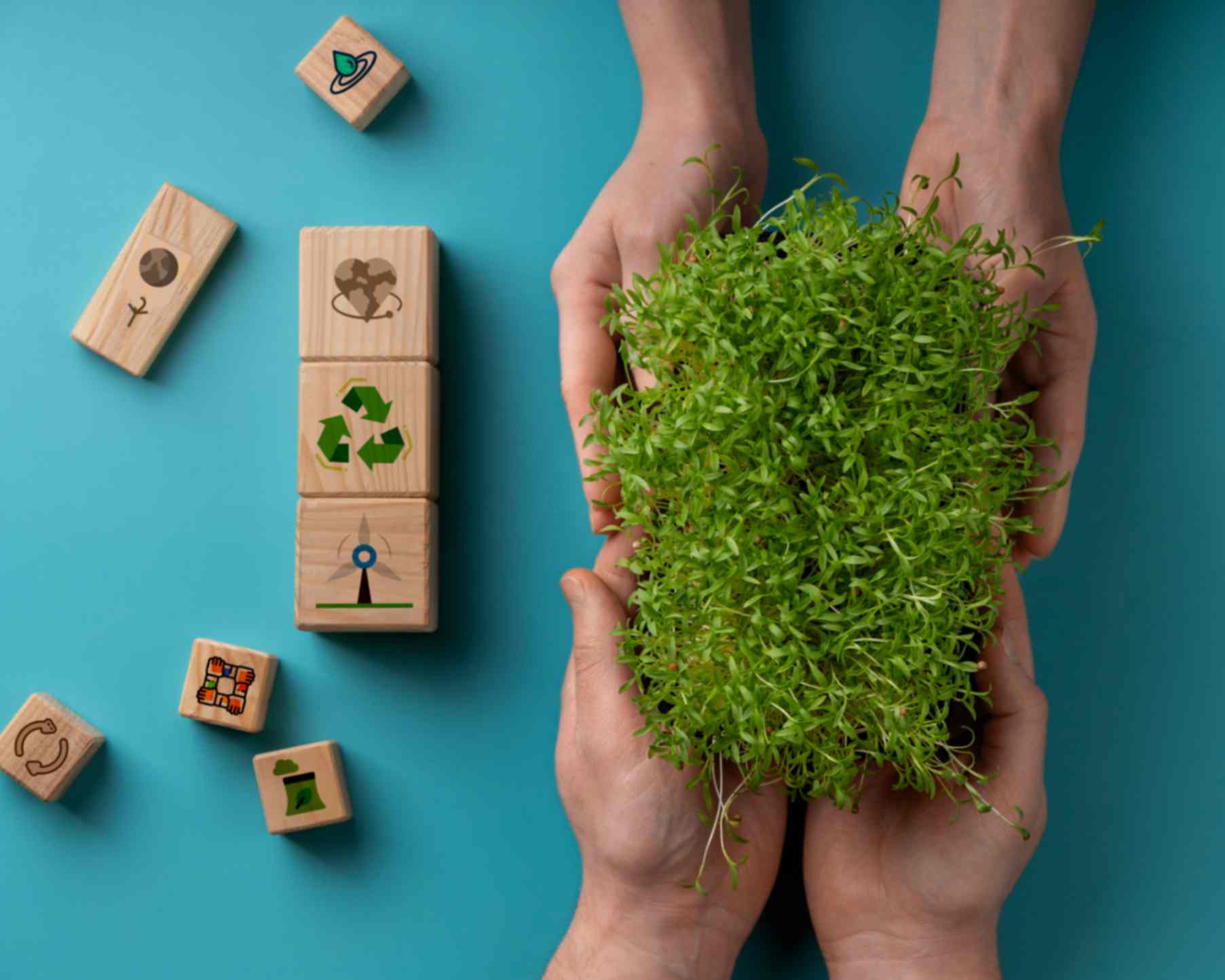 sustainable-development-goals